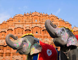 Best of Rajasthan Tour